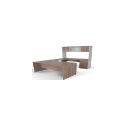 MODULO EJECUTIVO LOGAN