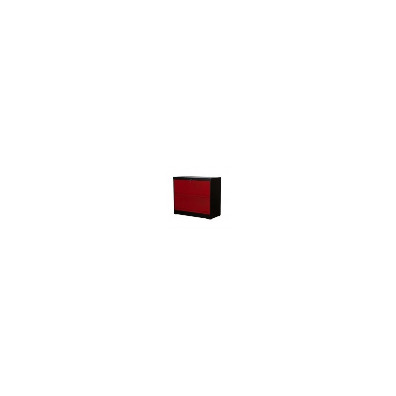 ARCHIVERO EASY 2 PUERTAS