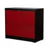 ARCHIVERO EASY 2 PUERTAS
